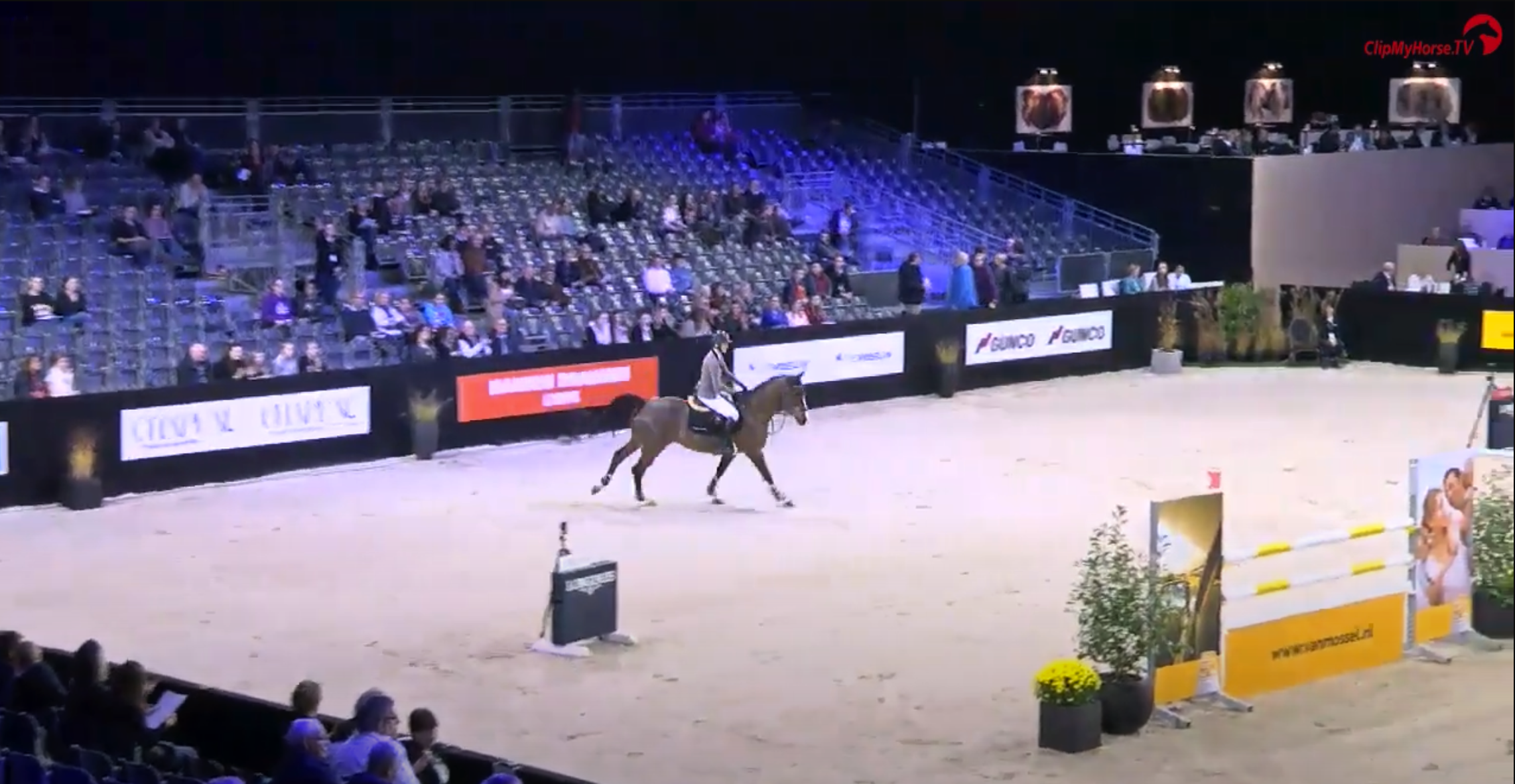 Cajza Cavat- CSI3* Indoor Maastricht 2017